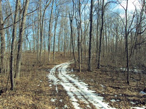 Property photo 8 - 66 Acres Offered in 3 Tracts